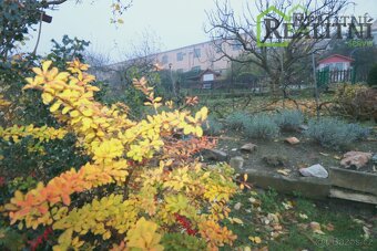 Prodej chatky v žádané lokalitě Prahy 6- Střešovic. - 4