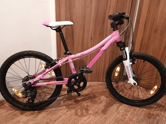 Kellys Lumi 50,20" - 4