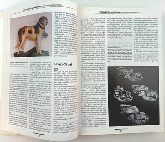 Plemena psů : Díl 1-2, Hans Räber - 4