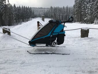 Thule Chariot Sport - 4