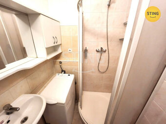 Pronájem částečně vybaveného bytu, 133121 - 4