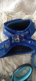 Flexi vodítko 5 m+postroj,obojky - 4