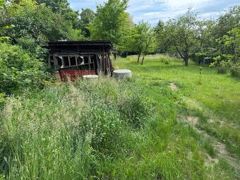 Tráva ke krmení / usušení zdarma za odvoz - 4