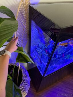 Luxusní vybavené akvárium + ryby - 4