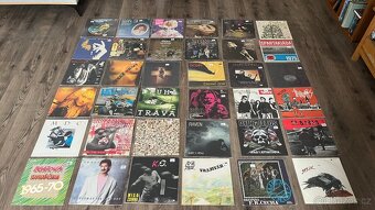 LP / Vinyl desky - velká sbírka (Punk , Rock ,atd) - 4