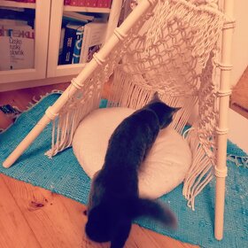 Teepee - 4