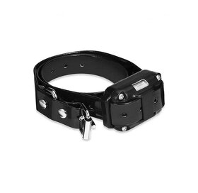 Elektrický výcvikový obojek pro 3 psy Patpet 776 - 4