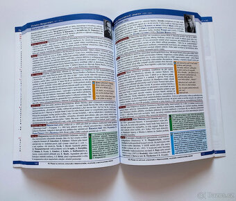 Maturita - literatura rozbory děl - 4