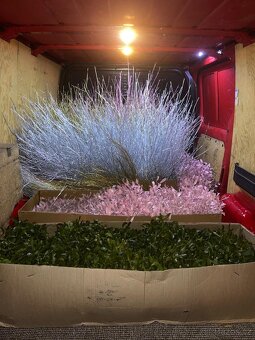 Vánoční Jmeli - 4