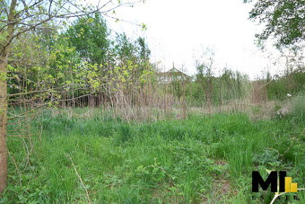 Prodej pozemku pro bydlení, 4941 m2, Polom - 4