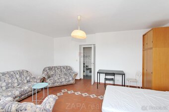 Pronájem pokoje 20 m2 s terasou 8 m2, Praha 3 Žižkov - 4