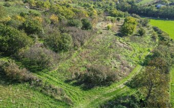 Prodej vinice a sadu v Hustopečích u Brna - 4