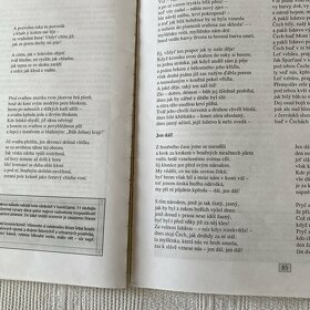 Čítanka 2 k literatuře v kostce - Sochrová - 4