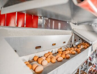 PROFI Mobilní kurník STARTER MAX – Až 450 nosnic - 4