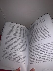 Základní pravopisné jevy a pravopisná pravidla - 4