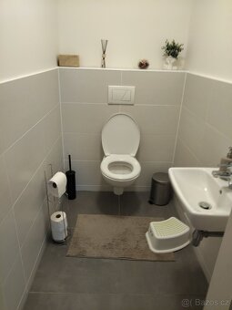 Pronájem bytu 3+kk - 4