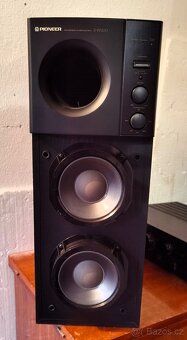 Pioneer SW 200 - 4