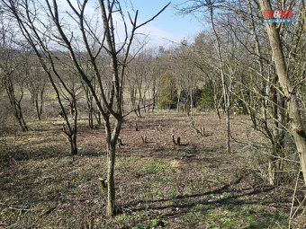 Prodej zahrady, 400 m², Postoloprty - 4