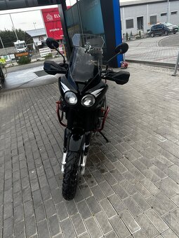 Triumph tiger 955i - 4
