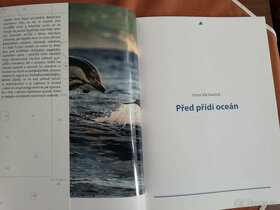 Inna Václavová: Před přídí oceán - Doprava ZDARMA - 4