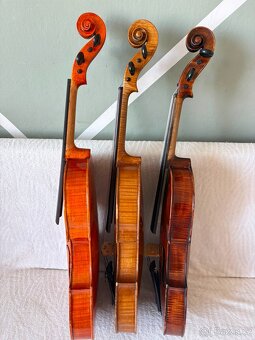 Tři staré viola - 4