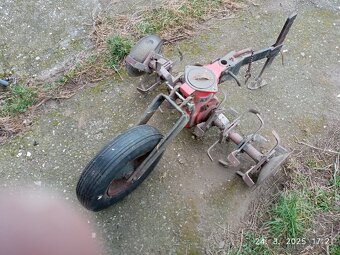 TERA VARI - 4