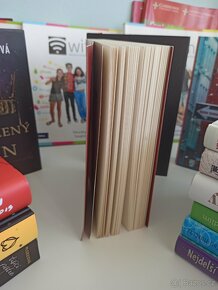 Kniha Anatomie: Příběh lásky - Dana Schwartz - 4