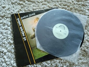 LP - Petra Jan: Už nejsem volná - 4