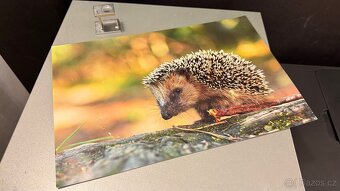 Sublimační fototiskárny DNP-DS80 - 4