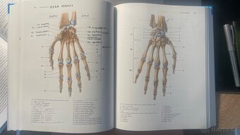 ANATOMIE 1 - Radomír Čihák - 4