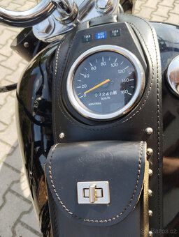 Suzuki LS 650 Savage - 4