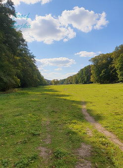 Prodej louky, Račice - Pístovice, 1784m2 - 4