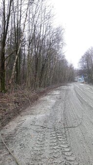 Plotostřih,nůžky na stromy – odvětvovací - 4