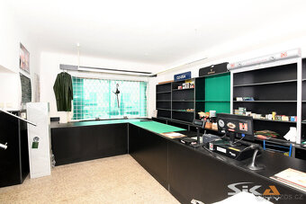 Prodej domu se dvěma byty a komerčními prostory, 412 m2 - 4