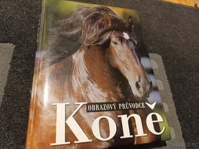 Koně - 4