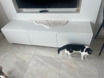 IKEA besta - 4