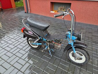 MOKIK Babetta - STELLA vzácná - 4