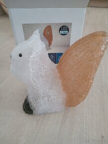 Svítící veverka - 4