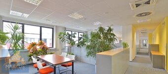 Pronájem obchodních prostor (562 m2), Praha 4 - Chodov - 4