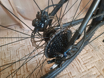 Bulls Bushtail xc - 4