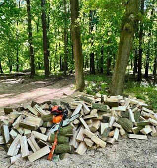 Prodej palivového dřeva-akce na dopravu - 4