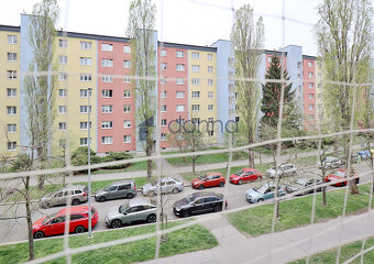 Prodej bytu 2+1, 57m2, nezařízený, ul. Jasmínová, Praha 10 - - 4