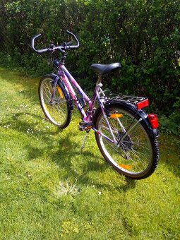 Frera 24" - 4