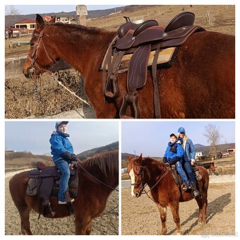 Yellowstobe doubles saddle - 4
