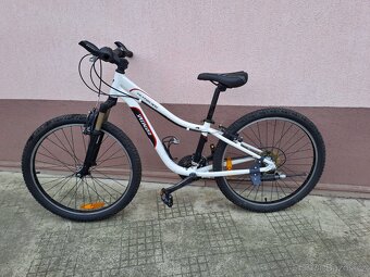 kolo Specialized 24" - 4