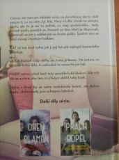 Oko za oko, prach a popel, oheň a plamen, Vivianová, Hanová - 4