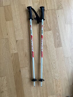 Lyže 80 cm, celý set - 4