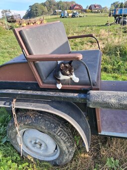 Bryčka za koně, vůz - 4