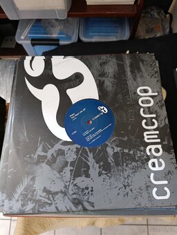 LP 4 - 4