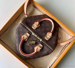 Louis Vuitton speedy 25 - 4